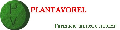 PLANTAVOREL