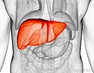 Afectiuni hepatice
