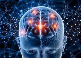 Circulatie cerebrala si memorie