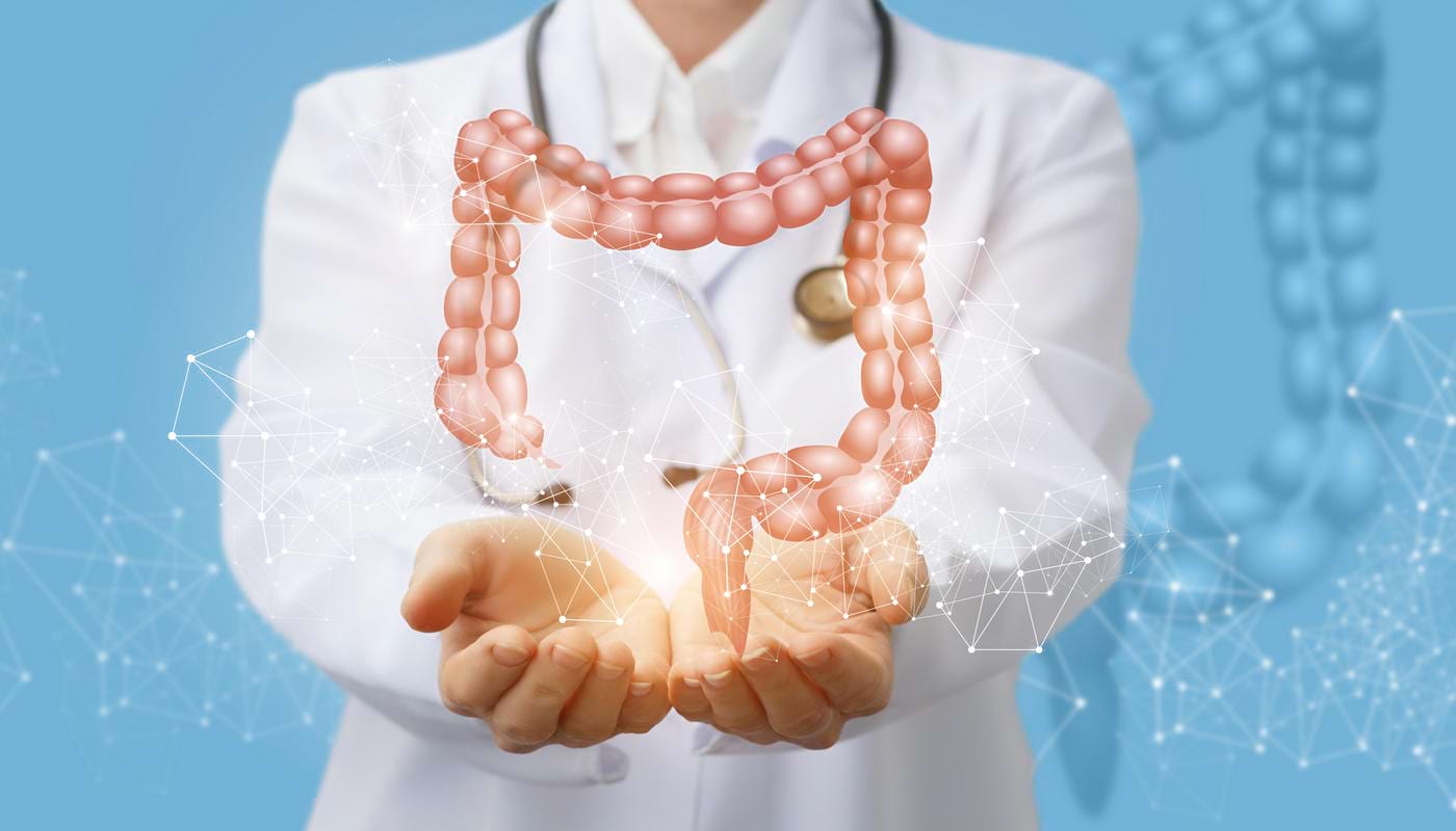 Enzime digestive