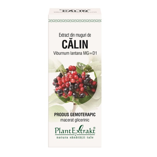 Extract din muguri de Calin, 50 ml, Plant Extrakt