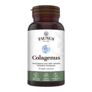Colagen tip 2 pentru articulatii, oase si piele Colagenus, 60 capsule, Faunus Plant