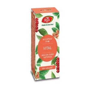 Vital, 60 capsule, Fares