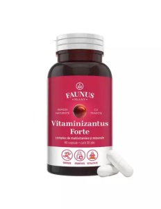 Vitaminizantus Forte multivitamine și minerale, 90 capsule, Faunus Plant
