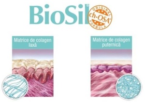 Biosil colagen capsule, 60 bucati, Biosil - Img 3