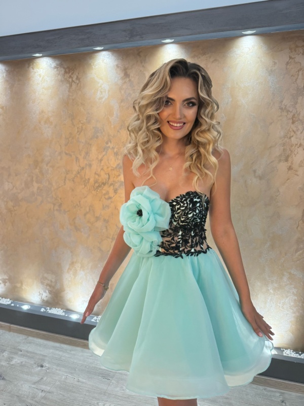 Rochie cod 61
