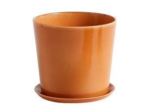 Botanical Plant Pot with Saucer [DEMO] - Img 3