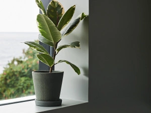 Flowerpot with Saucer - Green [DEMO] - Img 2