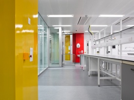 Pardoseală Gerflor Linoleum PVC 4,00 mm MARMORETTE ACOUSTIC PLUS