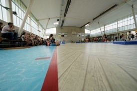 Pardoseală sportivă Gerflor Taraflex 6,2 mm MULTI-FUNCTIONAL
