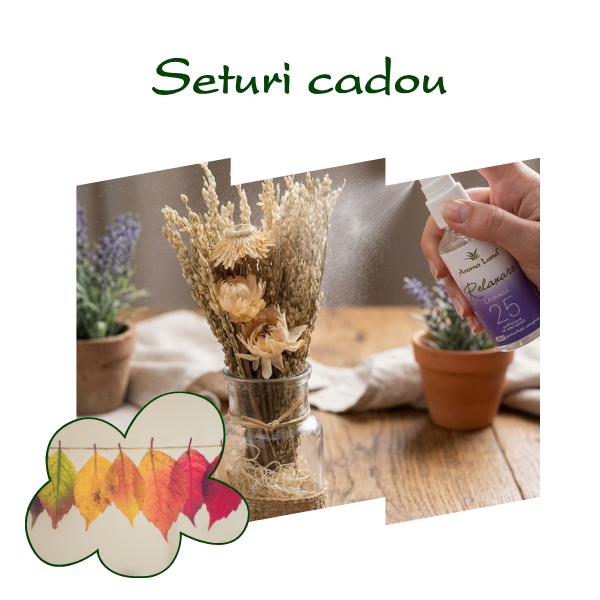 Seturi cadou