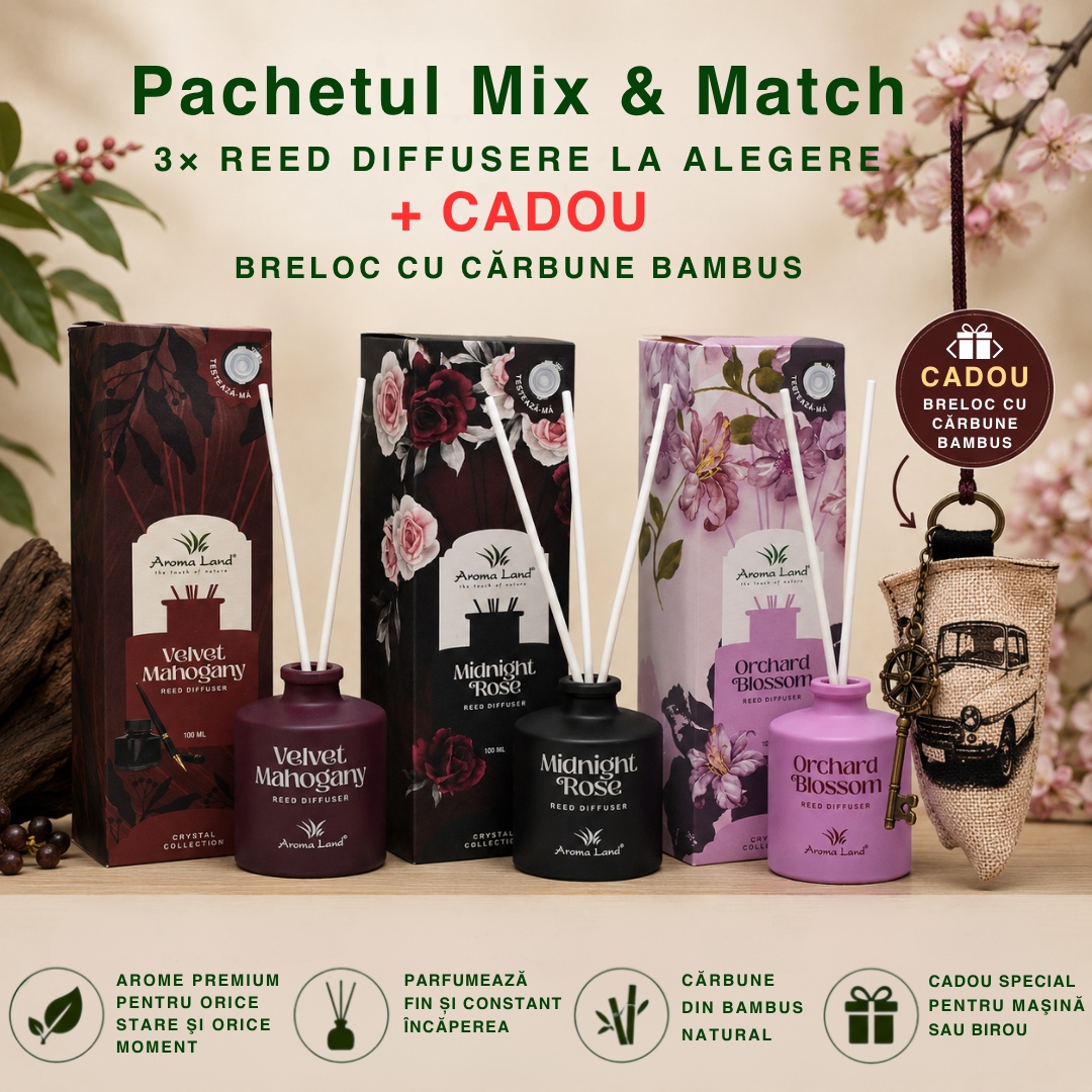 Set 3 Reed Diffusers, Aroma Selection + Breloc cu cărbune de
