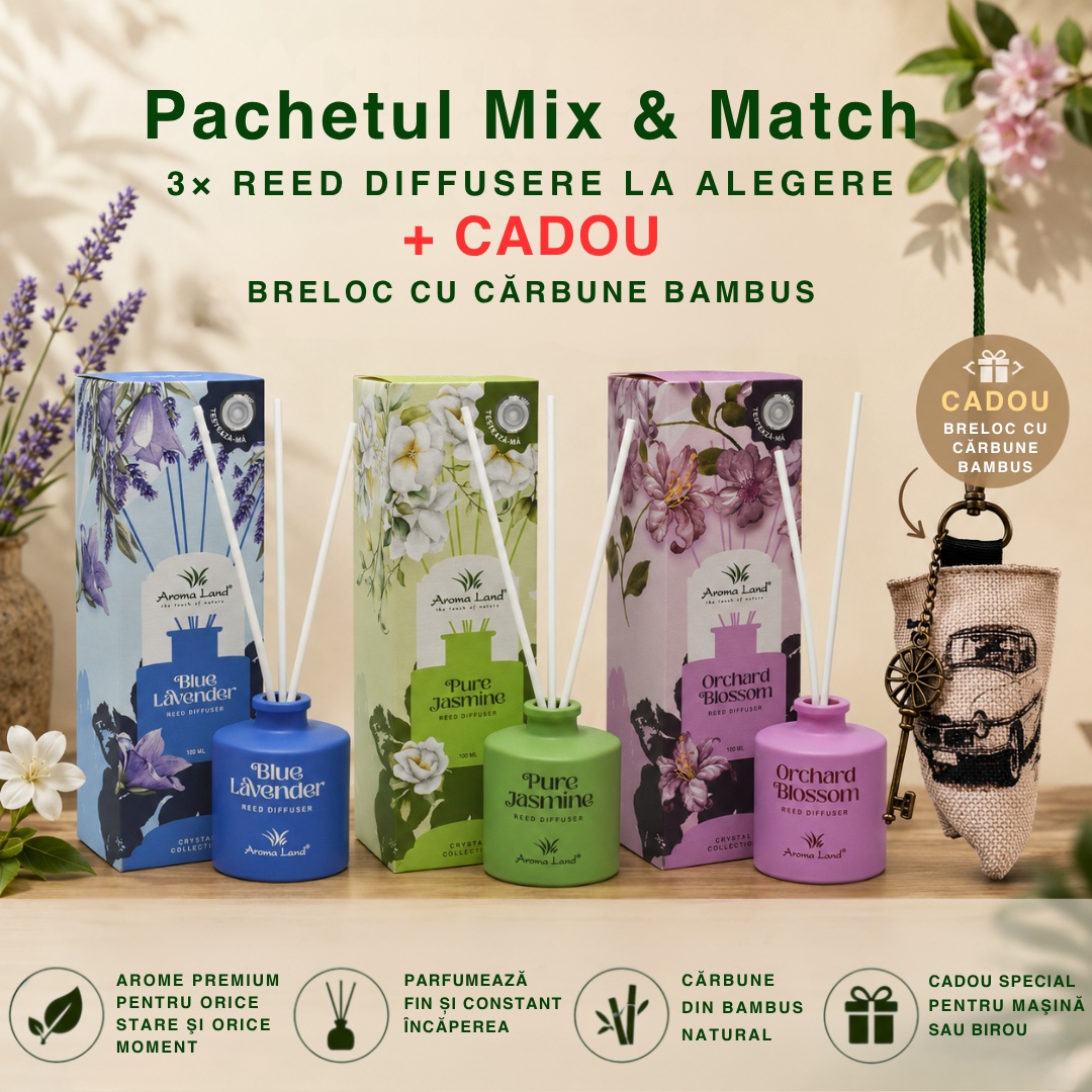Set 3 Reed Diffusers, Aroma Selection + Breloc cu cărbune de