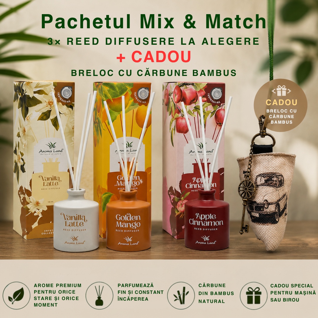 Set 3 Reed Diffusers, Aroma Selection + Breloc cu cărbune de