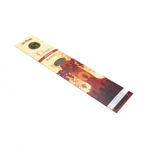 Betisoare parfumate Divine Blessings, S&S India, 20 buc