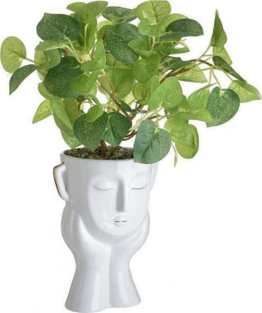 Ghiveci Plantă Decorativă Peaceful Face, 12x15x42cm
