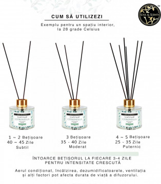 Difuzor de parfum cu betisoare aroma Citronella