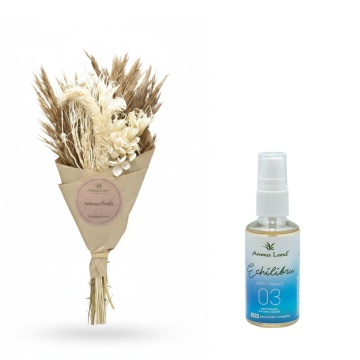 Set Mini Bouquet Natur cu spray cameră Anti Tabac