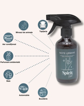 cum aleg un parfum de casa modern si masculin