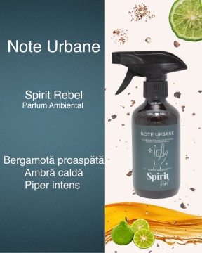 Spirit Rebel - parfum ambiental persistent pentru stil urban si personalitate