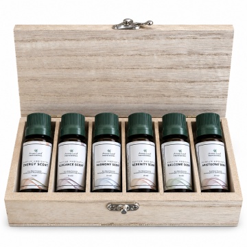 Set Discovery, 6 Parfumuri profesionale, 10 ml - Aroma Land Professional