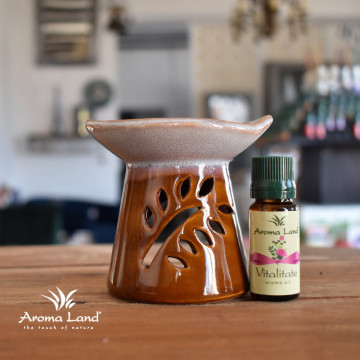 Ulei aromaterapie Vitalitate in difuzor ceramic