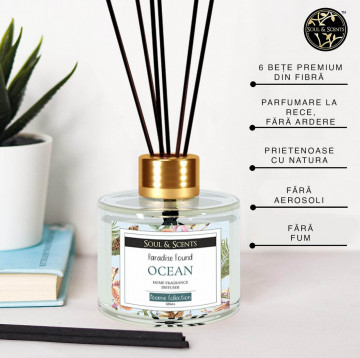 Difuzor de parfum cu betisoare aroma Ocean proaspat