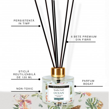 Difuzor de parfum cu betisoare aroma Ocean proaspat