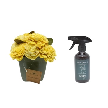 Aranjament floral Sunshine Bliss + cadou spray ambiental Spirit Rebel din gama Note Urbane