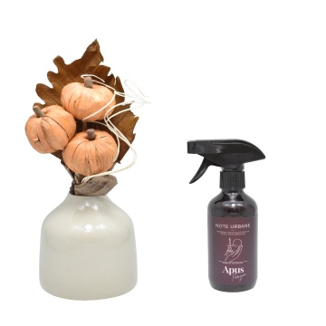 Aranjament floral Toamna + cadou spray Apus Parizian gama Note Urbane