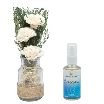 Aranjament floral Natur în vas de sticlă + spray cadou Anti Tabac