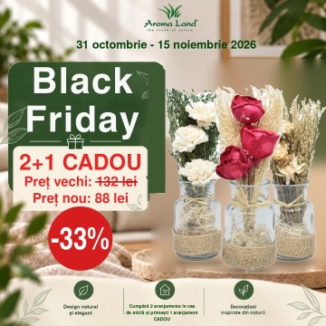 Set 3 aranjamente florale în vas de sticlă, H20 cm, la alegere: Natur, Roșu sau Alb (2+1 GRATIS)