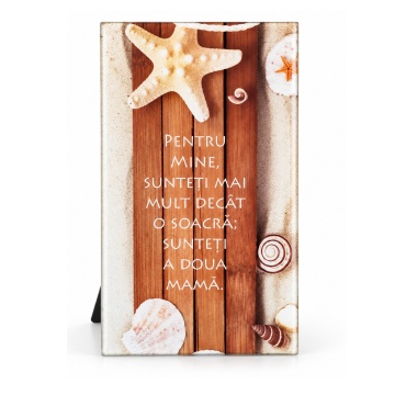 Tablou decorativ sticla cu mesaj pentru soacră, 10x17 cm