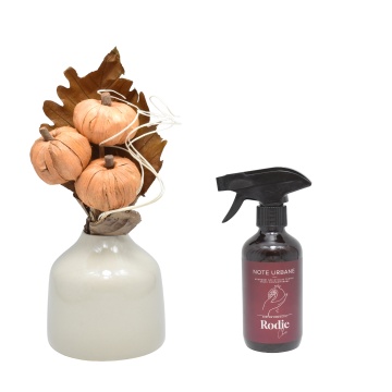 Aranjament floral Toamna + cadou spray Rodie Chic gama Note Urbane