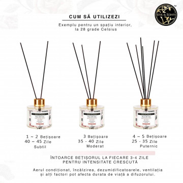 Difuzor de parfum cu betisoare aroma Trandafir