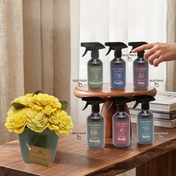 Spray cadou la alegere din gama Note Urbane