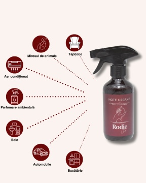 cum aleg un parfum ambiental elegant pentru living - Rodie Chic