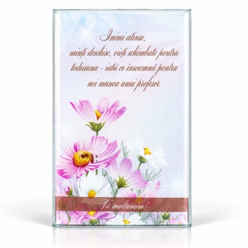Tablou decorativ sticla Profesor, 10x17 cm
