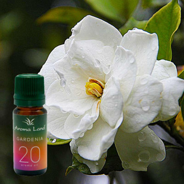 ulei parfumat pentru aromaterapie cu aroma de gardenie