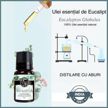 Ulei Esential Eucalipt, S&S India, 10 ml - Img 6
