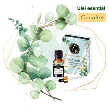 aromaterapie cu ulei esential de eucalipt pentru imunitate si concentrare