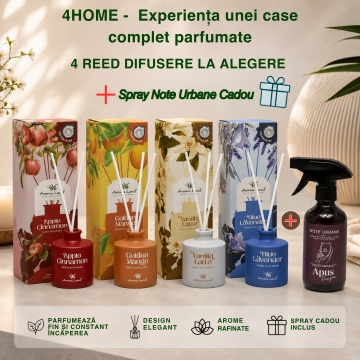 4HOME - Experiența unei case complet parfumate, Set 4 Reed diffusere + Spray Note Urbane CADOU