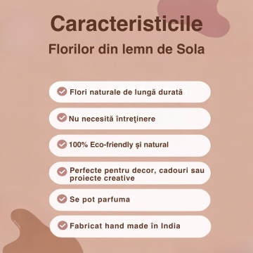 beneficii aranjament floral din lemn de Sola