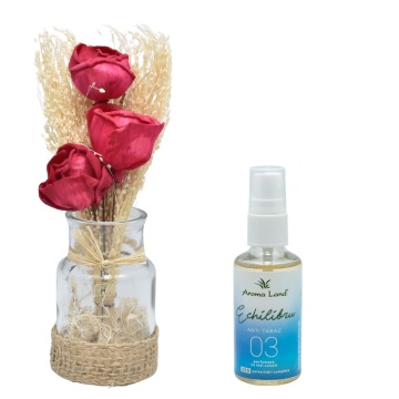 Aranjament floral Roșu în vas de sticlă + spray cadou Anti Tabac