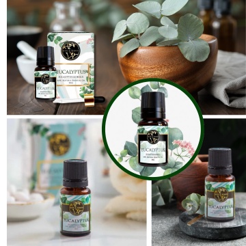 ulei esential de eucalipt pentru respiratie usoara si aromaterapie acasa