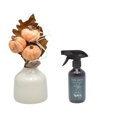 Aranjament floral Toamna + cadou spray Spirit Rebel gama Note Urbane