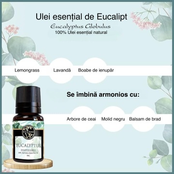 aromaterapie cu eucalipt pentru imunitate și concentrare