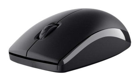 Kit Trust Primo tastatura standard, mouse wireless optic, rezoltie maxima 1200 DPI, negru - Img 7