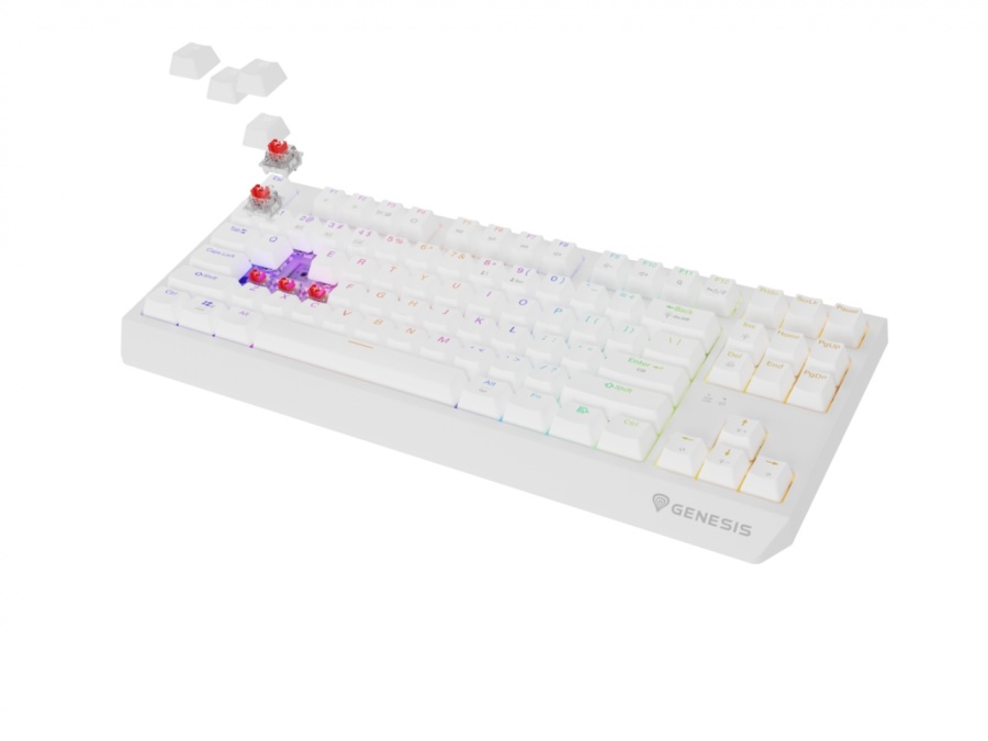 Tastatura gaming mecanica wireless Genesis Thor 230 TKL, iluminare RGB, 87 taste, 11 butoane multimedia, alb - Img 2