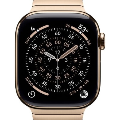 Apple Watch 42mm Link Bracelet: Gold Link Bracelet